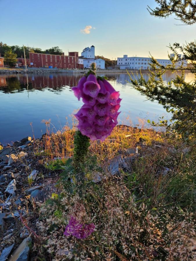 The Harbourside Inn Port Union Екстер'єр фото